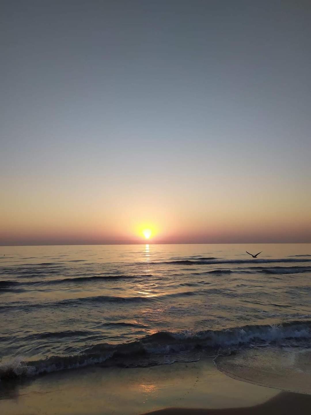 Mare De Deu, Vivienda Vacacional Para Familias Y Mayores De 25 Anos En El Grao De Gandia-Playa Playa de Gandia Εξωτερικό φωτογραφία